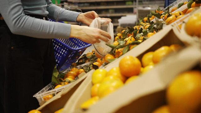 Careful shopper examining ripe tangerines, selecting fresh produce and placing organic citrus into reusable bag while practicing sustainable, mindful grocery shopping
