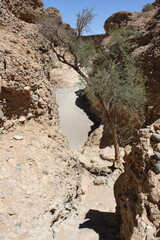 Steep entrance path to Sesriem Canyon, carved by Tsauchab river. Namib-Naukluft National Park, Namibia. Vertical image.