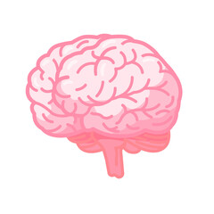 Illustration of a Human Brain in Pink Color with Side View Depiction