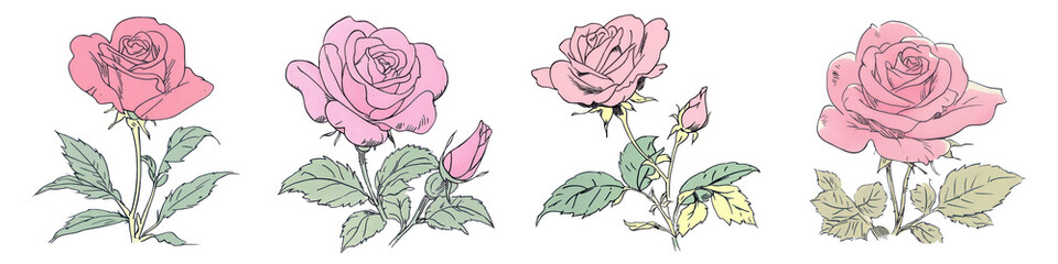 PNG Vintage pink rose illustrations, element set on transparent background