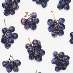 berries on white background