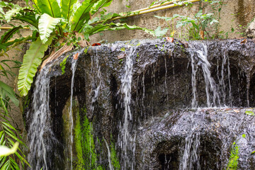 Artificial cascading waterfall in a tropical garden among flowers and plants