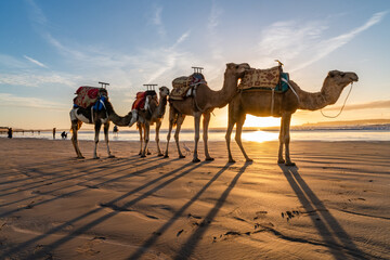 Views around Essaouira a port town in Morocco Sunset
