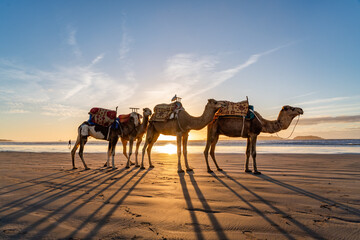 Views around Essaouira a port town in Morocco Sunset