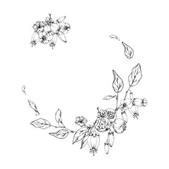 Blueberry blackberry, white bell flowers, hand drawn in ink vector, ripe forest berry bunch on branches. Isolated botanical garland wreath frame illustration. Wedding menu, farmers market, cosmetics