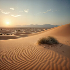 Golden Desert Dunes at Sunset with Scenic Landscape