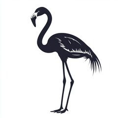 Fototapeta premium Monochrome Silhouette: Elegant Bird Illustration on White Background