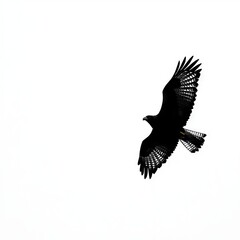 Fototapeta premium Silhouette of bird flying with wings spread against the plain sky.