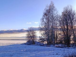 Winter landscape: trees against a background of blue sky and snowy field