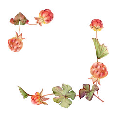 Cloudberry raspberry on stems with green leaves hand drawn in watercolor, red ripe forest berry. Square corner frame isolated botanical illustration. Restaurant, cafe menu, farmers market, recipe book