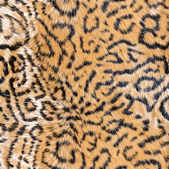 Seamless camouflage fabric texture. Abstract background and texture for design