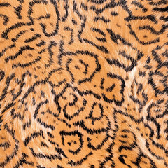 Seamless camouflage fabric texture. Abstract background and texture for design