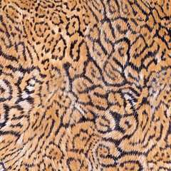 Seamless camouflage fabric texture. Abstract background and texture for design