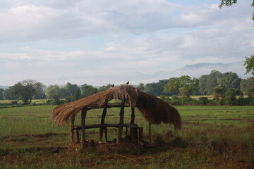 rural landscape with a barn