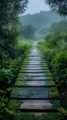 Mossy wooden footbridge leading into misty forest landscape