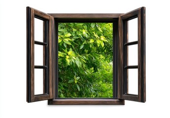 Open Dark Brown Wooden Window with Lush Green Foliage View