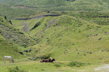 France Pyrénées La Mongie 