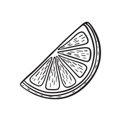 Hand-drawn fresh orange engravings. Organic food engraved in vintage style. Line art orange slice. Black and white citrus fruit design.