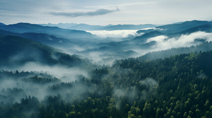 Paysage de for&ecirc;t dans les montagnes. Nuage, brume, brouillard. Horizon, calme. Pour conception et cr&eacute;ation graphique.