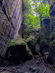 An open area in between large boulders covered in moss on the Niagara Escarpment. Along the Bruce...