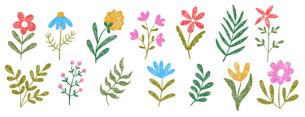 Set of flower kid crayon pencil. Abstract modern drawn botanical floral elements. Child color crayon chalk hand drawn with plant.