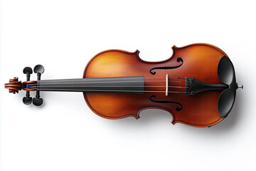 Fototapeta premium Timeless viola displayed on a plain white surface