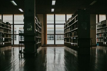 Generated imageLibrary, Place to study in silence. Obtain knowledge through books.