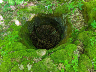 A deep hole in the rock covered in moss formed in the last ice age by ice, water and rocks grinding downwards. On the Niagara Escarpment during the summer