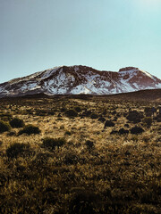 Mount Kilimanjaro surrounded by grassy plains