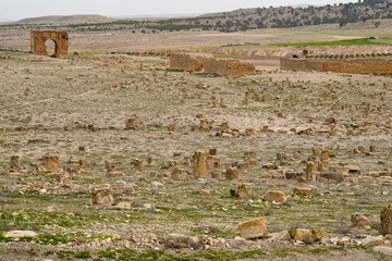 l'area archeologica dell'antico presidio militare romano di Ammaedara nei pressi della cittadina di...