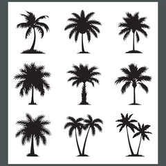 Captivating Palm Tree and Coconut Tree Silhouette Logo Design on a Crisp White Background