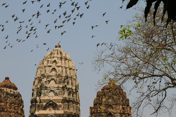 Temple with Black Birds in Sukhothai Historical Park