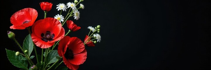 Fototapeta premium Fresh bouquet of red poppies and white Spiraea on dark black background, flowers, wildflowers