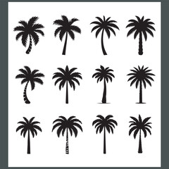 Captivating Palm Tree and Coconut Tree Silhouette Logo Design on a Crisp White Background