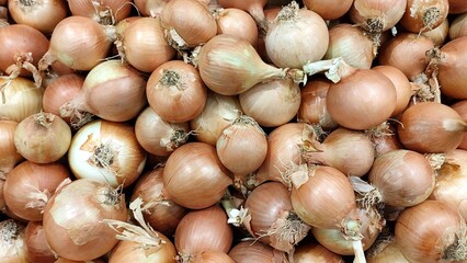 Background view of a large pile of fresh golden-brown onions with dry, papery outer skins and visible root ends, stacked together in a market or grocery setting.