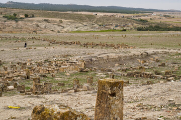 l'area archeologica dell'antico presidio militare romano di Ammaedara nei pressi della cittadina di...