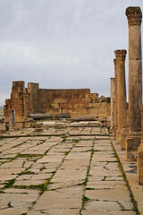 l'area archeologica dell'antico presidio militare romano di Ammaedara nei pressi della cittadina di...
