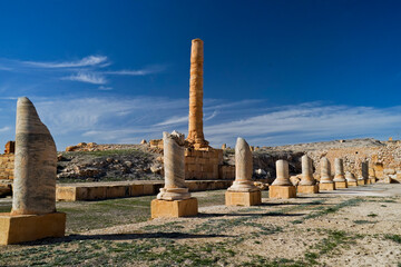 l'area archeologica dell'antico presidio militare romano di Ammaedara nei pressi della cittadina di...