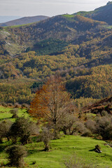 Beautiful landscape of the Gorbea natural Park on a sunny autum day