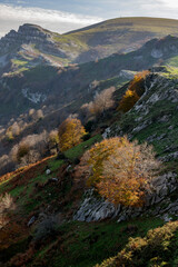 Beautiful landscape of the Gorbea natural Park on a sunny autum day