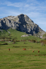Beautiful landscape of the Gorbea natural Park on a sunny autum day