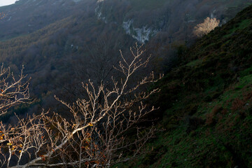 Beautiful landscape of the Gorbea natural Park on a sunny autumn day