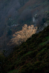 Beautiful landscape of the Gorbea natural Park on a sunny autum day