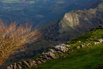 Beautiful landscape of the Gorbea natural Park on a sunny autum day
