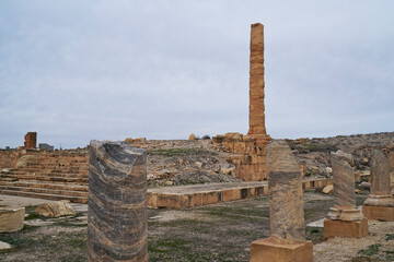 l'area archeologica dell'antico presidio militare romano di Ammaedara nei pressi della cittadina di...