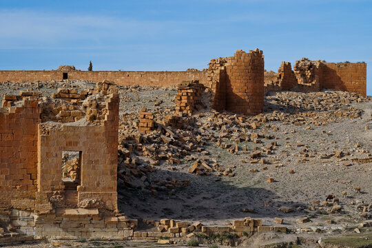 l'area archeologica dell'antico presidio militare romano di Ammaedara nei pressi della cittadina di Haidra,Tunisia