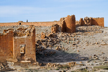 l'area archeologica dell'antico presidio militare romano di Ammaedara nei pressi della cittadina di...