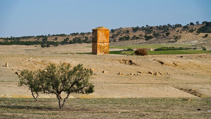 l'area archeologica dell'antico presidio militare romano di Ammaedara nei pressi della cittadina di...