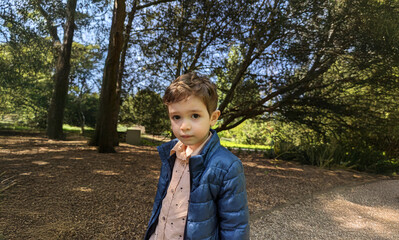A young boy with short brown hair and light skin stands in a wooded area, wearing a blue puffer...