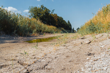 Dry river bed on a sunny summer day. Concept of climate change, drought and drying up of water bodies